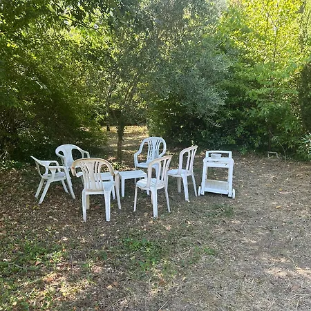Maison Cevenole En Pleine Nature Avec Bassin De Baignade Σπίτι διακοπών